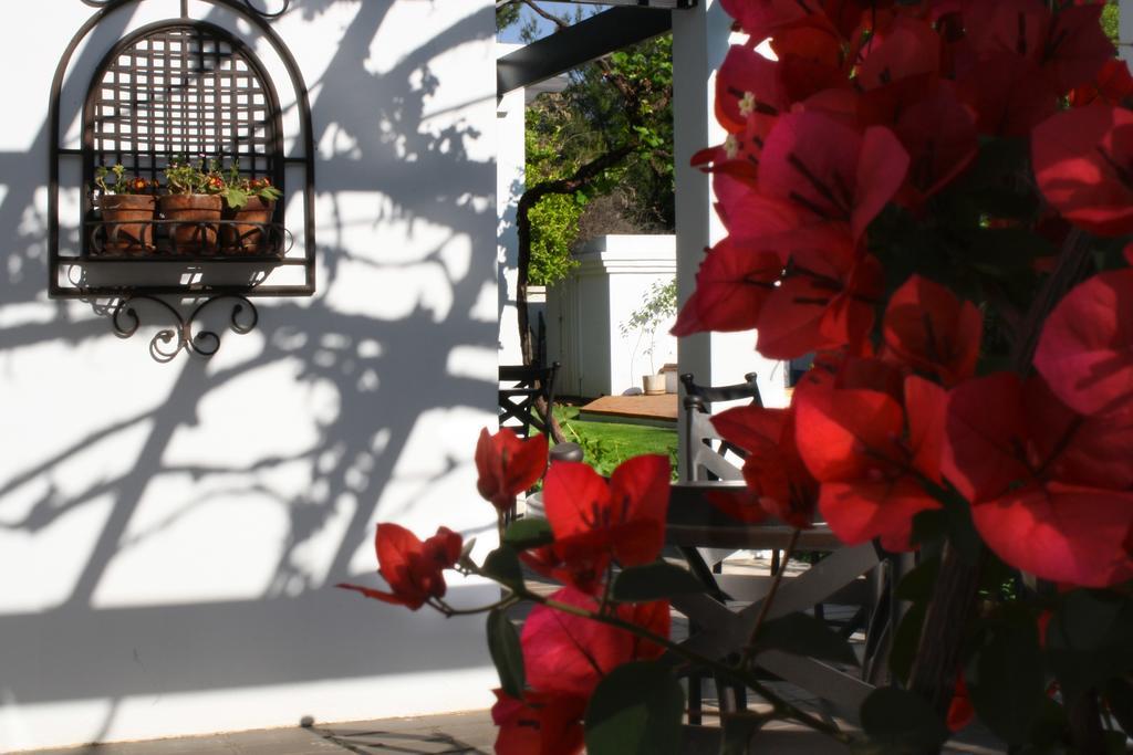 Lemon & Lime Guesthouse Bloemfontein Bagian luar foto