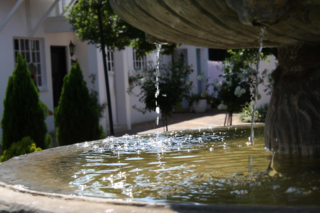 Lemon & Lime Guesthouse Bloemfontein Bagian luar foto