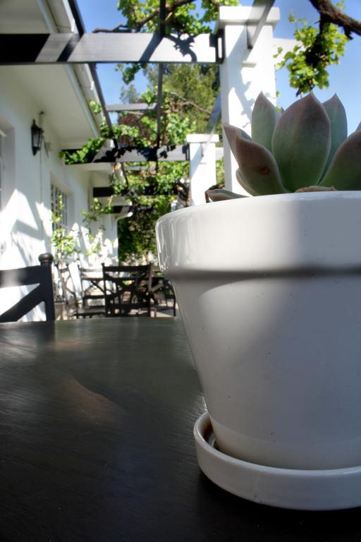 Lemon & Lime Guesthouse Bloemfontein Bagian luar foto